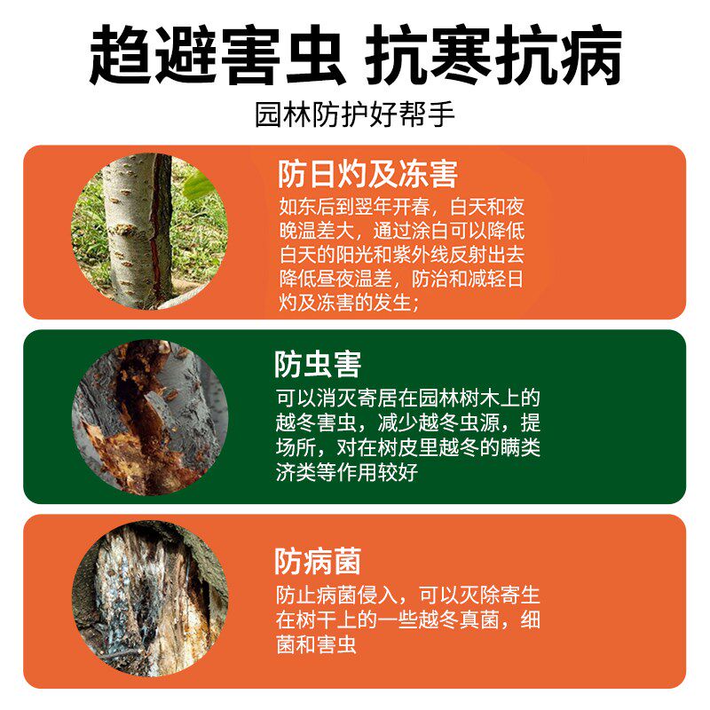 树木果树树干涂白剂防虫防冻大树石灰粉刷树白灰涂树越冬过冬保护