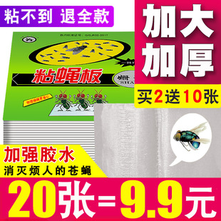 灭粘蝇纸苍蝇板杀手蚊子苍蝇贴纸强力粘蝇纸蝇捕蝇神器家用克星