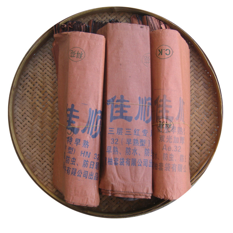 柚子套袋三红蜜柚红肉专用水果防虫袋双层三层加厚特早熟防水防晒