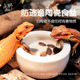 爬虫守宫蜥蜴食盆防逃逸爬宠鬃狮蜘蛛饲养箱活面包虫杜比亚陶瓷