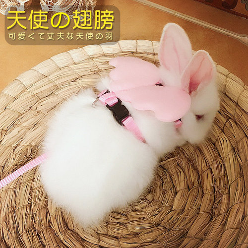 兔子牵引绳子溜兔绳 溜兔子神器 小兔兔天使翅膀胸背带 外出用品