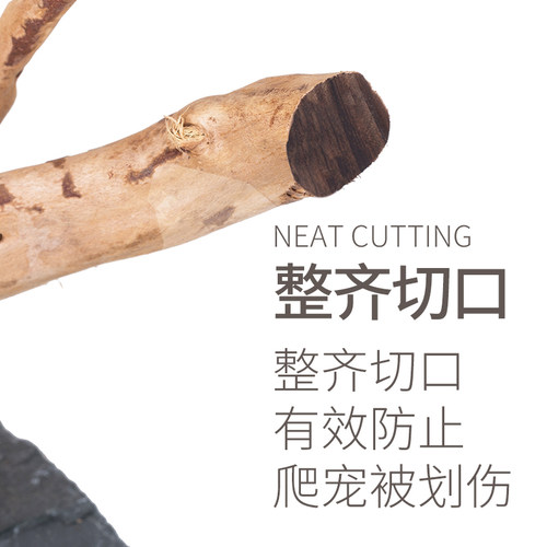 REPTIZOO爬宠箱造景爬虫蜥蜴睫角守宫树栖变色龙陆龟树根饲养箱