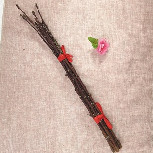 婴儿出院桃枝宝宝惊吓啼哭孕妇护身桃木家用镇宅保平安压惊桃树枝