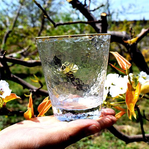 日式锤目纹玻璃水杯家用创意描金边冷饮鸡尾酒甜品泡茶杯子