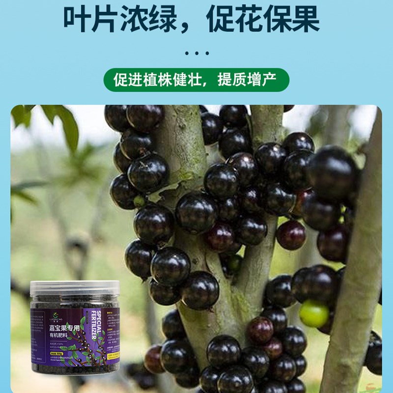 嘉宝果专用肥料珍宝果小硕挂果树葡萄营养液有机复合颗粒缓释肥