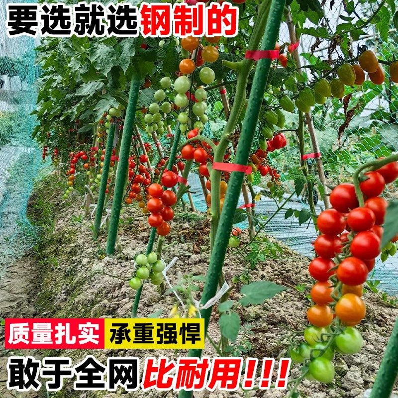 番茄爬藤架黄瓜葡萄蔬菜架杆爬藤植物固定架楼顶种菜支架菜园搭架