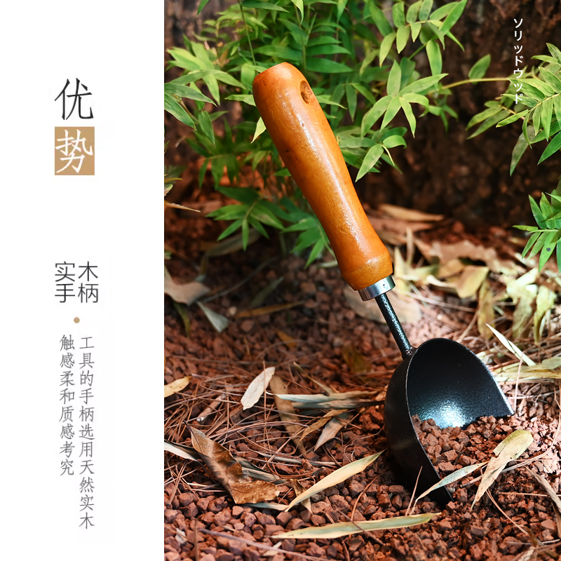 黄缘闭壳龟饲养箱铲子爬宠半水龟养殖箱环境造景铲土种花清洁工具