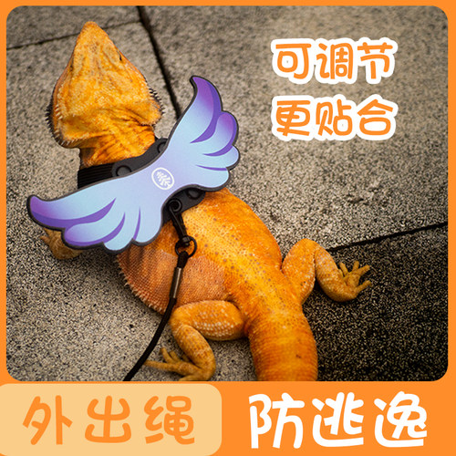 可爱翅膀遛守宫鬃狮蜥蜥蜴绳牵引绳胸背带防勒外带用品背心式