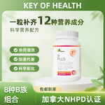 B族维生素复合片Key of Health多种vb叶酸b2b6b12烟酰胺h维c官方