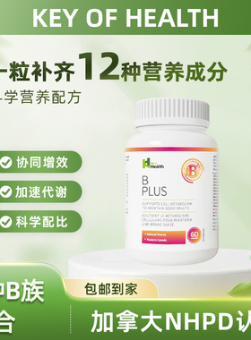 Key of HealthB族维生素复合片多种vb叶酸b2b6b12烟酰胺h维c官方