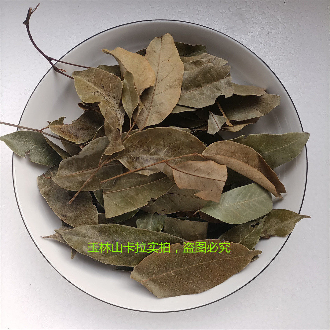 广西特产 玉林大叶茶 山茶 甜茶广西大叶茶广西卫视(百寿探秘)