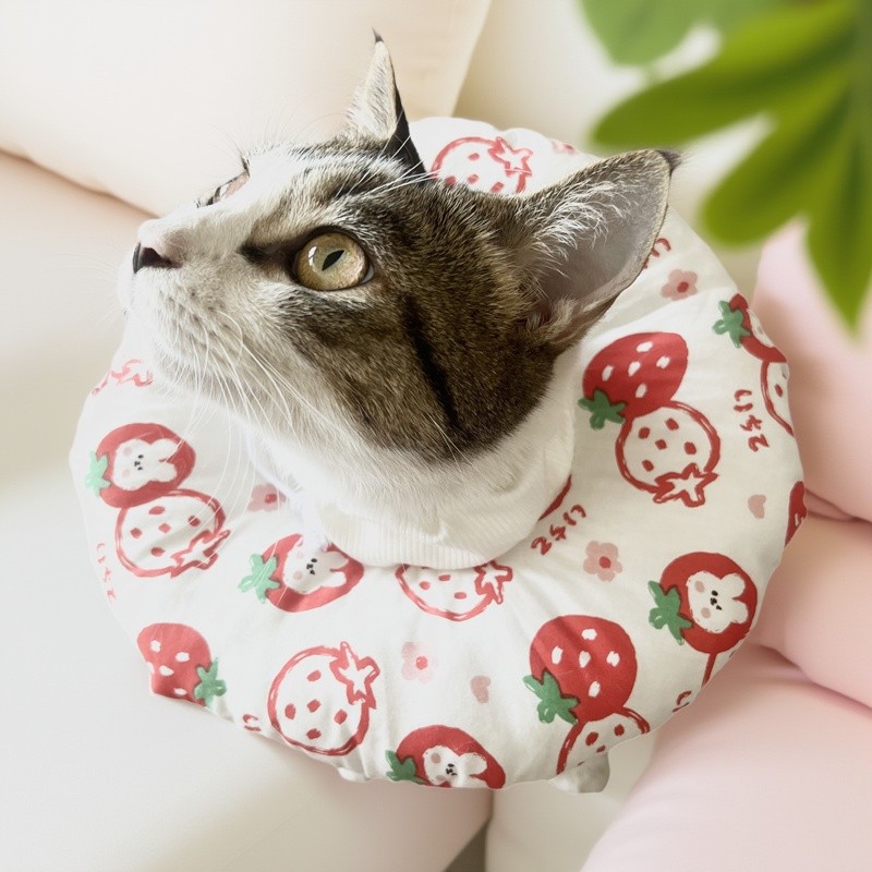 猫咪狗狗绝育防舔耻辱软圈保护套脖圈脖套可爱水果宠物伊丽莎白圈