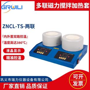 TS实验室多联智能数显电热套50ml 厂家磁力搅拌电热套ZNCL 1000ml