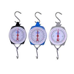 弹簧手提秤机械吊钩秤 吊钩称 机械挂秤100kg 200kg手提秤便携式