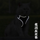 猫牵引绳防挣脱猫背带猫绳英短蓝猫溜猫绳子猫咪外出专用遛猫绳子