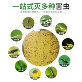 双面诱虫板黄板粘纸粘虫果园小黑飞飞虫农用大棚蓟马粘虫板粘蝇纸
