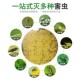 双面诱虫板黄板粘纸粘虫果园小黑飞飞虫农用大棚蓟马粘虫板粘蝇纸