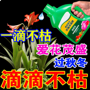 营养液植物通用型花肥家用盆栽通用水培花卉花草养花绿植肥料绿萝