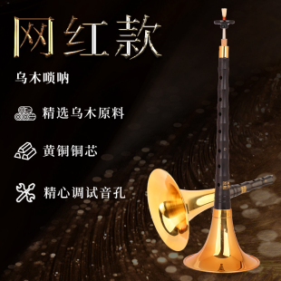 宏艺凤鸣网红款乌木唢呐乐器初学者专业演奏型唢呐全调喇叭