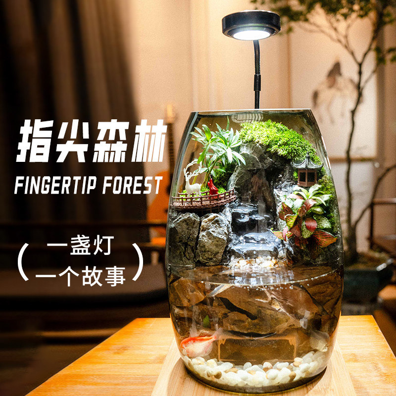 苔藓微景观真绿植流水生态缸摆件