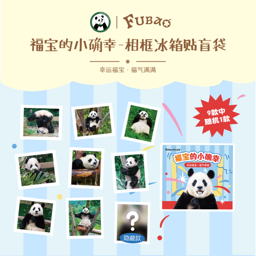 熊猫一起 福宝的小确幸-相框冰箱贴盲袋 Panda o'clock