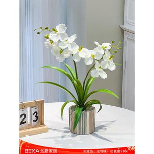 高品质蝴蝶兰仿真花假花摆设盆栽带花客厅餐厅装 饰电视柜花艺摆件