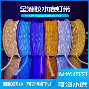 水底亮化LED低压软灯条户外硅胶一体挤出IP68灌胶户外游艇装饰灯