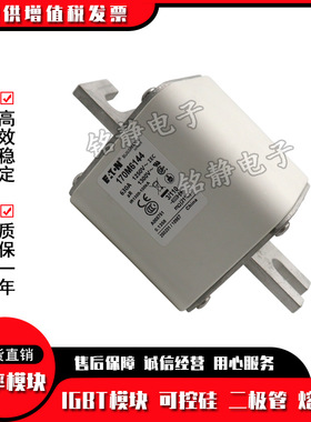 170M6138 170M6139 170M6140 170M6141巴斯曼熔断器型号齐全现货