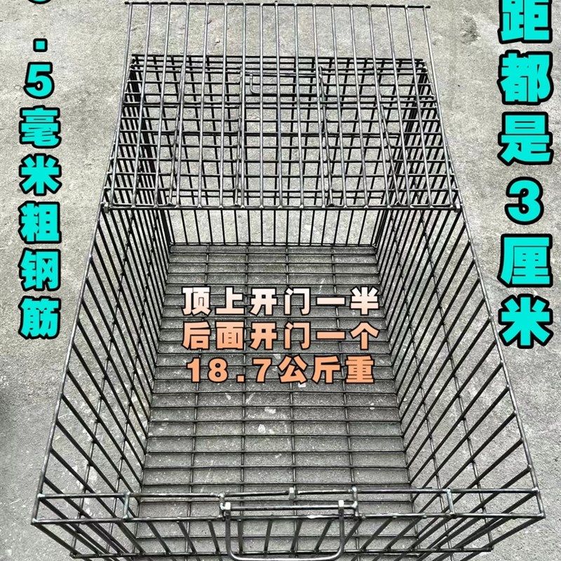 可以装5-10只30斤狗的大号钢筋托运笼狗笼航空箱土狗杂斗收狗笼