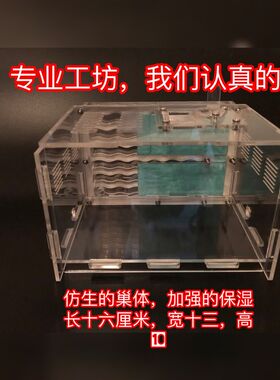 蚂蚁城堡 蚂蚁工坊亚克力蚁巢  地王蚁巢 地王3代 全异巨首蚁蚁巢
