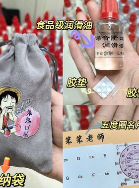 笨笨口琴推荐2024年新款十孔半音阶蜂鸟儿童成人初学进阶演奏高端