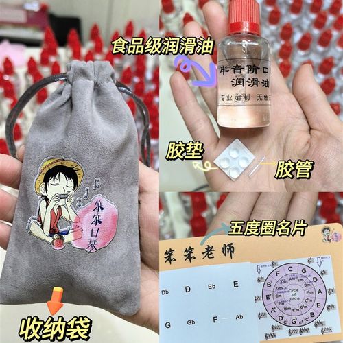 笨笨口琴推荐2024年新款十孔半音阶蜂鸟儿童成人初学进阶演奏高端