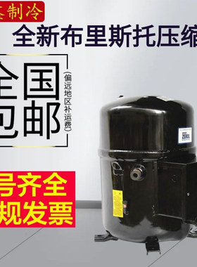 H2NG244DREF DBEF H2NG294DPEF 全新美国布里斯托压缩机20匹25