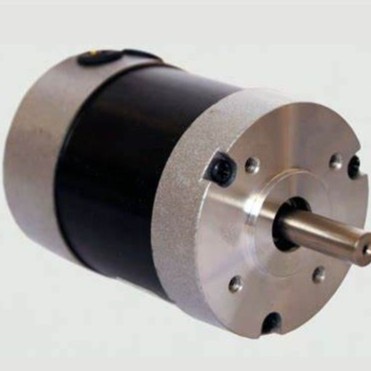 TECMOTION SM4065-P32/4.28-E2-500-157-I 微型电机