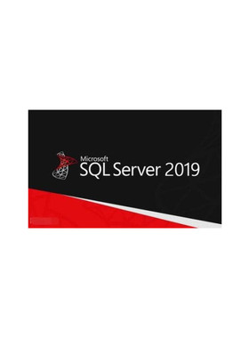 sql server 2019 标准版 5用户 嵌入式  中文版