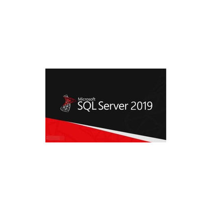 sql server 2019 标准版 5用户 嵌入式  中文版