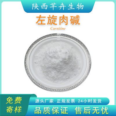 左旋肉碱 L-肉碱 L-carnitine左旋肉碱粉 541-15-1 1KG起厂家包邮