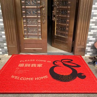 丝圈地垫入户门家用门口进门进户脚垫子门外门前耐脏地毯防滑门垫