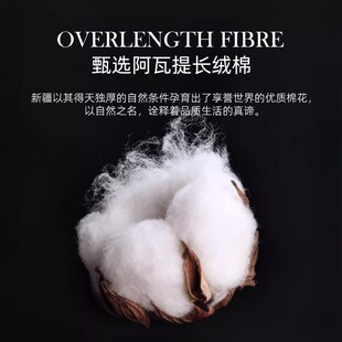 四季 斯得福全棉长枕套加长款 纯棉纯色枕芯套情侣双人长枕头套家用