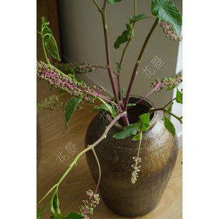 花曌 商陆鲜花水养真花鲜切花东方中式落地书桌餐桌面瓶插花