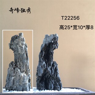 英德盆景附树抱石条文房摆件清供鱼缸造景配景观赏天然原真奇石头