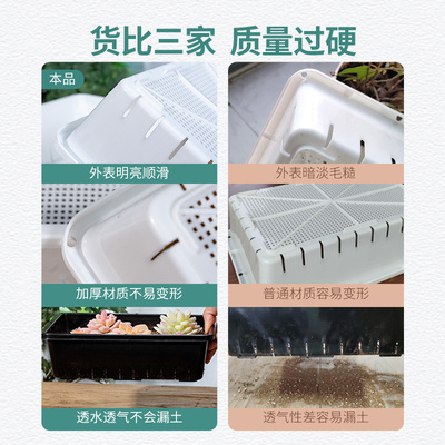 多肉专用塑料育苗盘穴盘花盆播种盘育苗筐生石叶插托盘大号小号