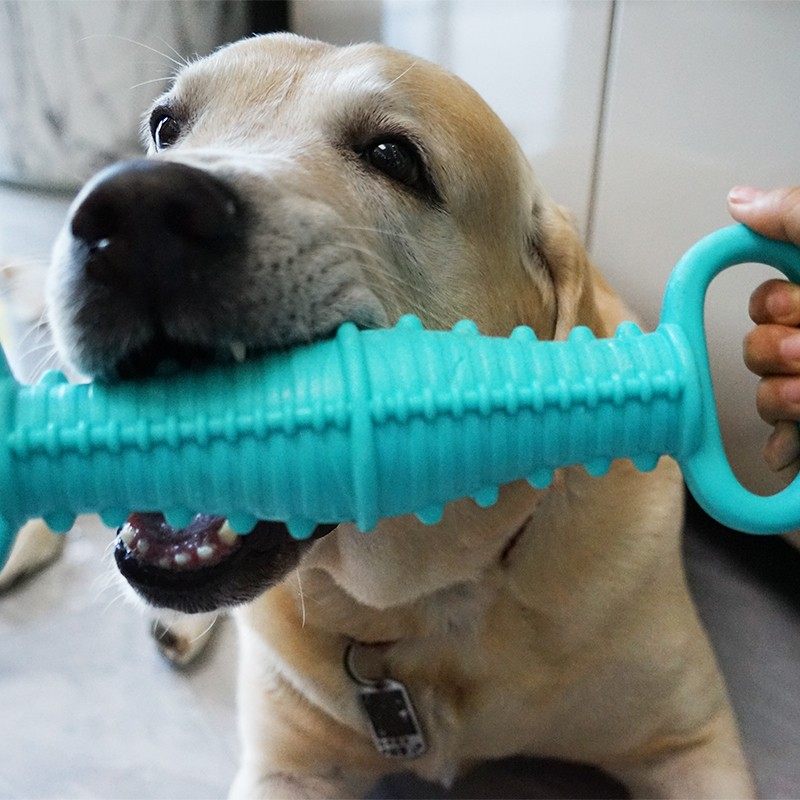 特大号发声耐咬互动狗狗玩具宠物磨牙棒洁齿中大型犬金毛拆家咬胶,宠物/宠物食品及用品,发声玩具,淘宝优惠券,粉丝福利购,淘宝优惠卷