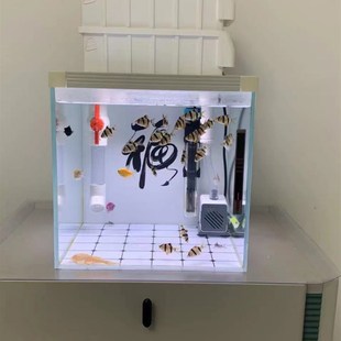 30-35鱼缸上过滤上置顶滤过滤盒滴流盒托架周转箱小型水族箱过滤