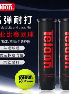 天龙高弹力网球POUND运动训练专用网球高回弹耐打4粒罐装网球