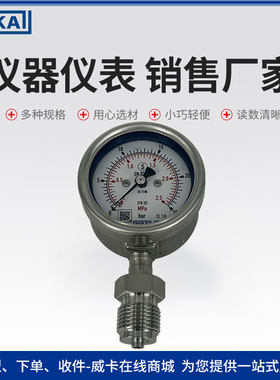 威卡wika压力表 壳体充液测量精密工业应用232.30.063压力表