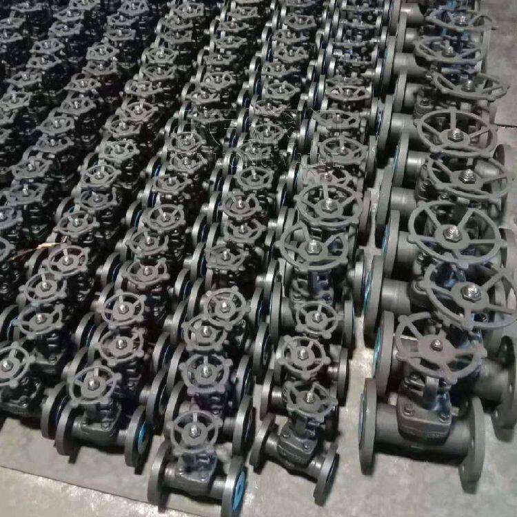 J41Y锻钢法兰截止阀 现货 锻造 氨用 不锈钢 欣弘阀门