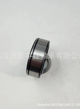 SL024922 SL024924 SL024926 SL024928  装满圆柱滚子轴承