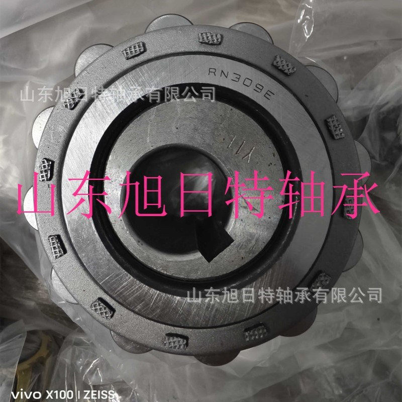 RN309E-11Y  XRT减速机轴承   XRT减速机整体偏心轴承