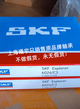 瑞典球轴承6024/C3 6024 6024-2Z 6024-2RS1 6022/C3 6020/C3等